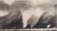 The Stags of Broadhaven by Norman Ackroyd CBE, RA, ARCA, RE, MA